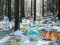 თამაში Winter Wonderland Forest Adventure ონლაინ