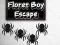 თამაში Floret Boy Escape ონლაინ
