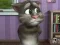 თამაში Talking Tom Cat 2 ონლაინ