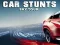 თამაში Car Stunts Sky Tour ონლაინ