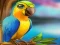 თამაში Little Parrot Escape ონლაინ