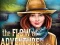 თამაში The Flow of Adventure ონლაინ