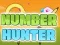 თამაში Number Hunter ონლაინ