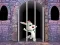 თამაში Victory Rabbit Escape ონლაინ