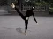 თამაში Ninja Academy ონლაინ