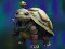 თამაში Isolated Turtle Escape ონლაინ
