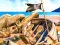 თამაში Pirate Mysteries ონლაინ