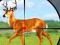 თამაში Wild Hunt Hunting Games 3D ონლაინ