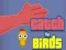 თამაში Catch the Birds ონლაინ