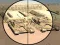 თამაში Camo Sniper ონლაინ
