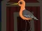 თამაში Cute Godwit Escape ონლაინ