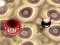 თამაში Bouncing Blob ონლაინ