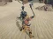 თამაში The Scythian Warrior ონლაინ