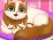 თამაში Cute Kitty Pregnant ონლაინ