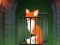 თამაში Fox in the Forgotten Ruins ონლაინ