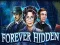 თამაში Forever Hidden ონლაინ