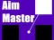 თამაში Aim Master ონლაინ