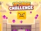თამაში Sponge Challenge ონლაინ