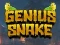 თამაში Genius Snake ონლაინ