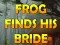თამაში Frog Finds His Bride ონლაინ