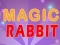 თამაში Magic Rabbit ონლაინ