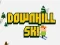 თამაში Downhill Ski ონლაინ