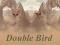 თამაში Double Bird ონლაინ