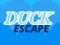 თამაში Duck Escape ონლაინ