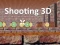 თამაში Shooting 3D ონლაინ