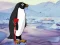 თამაში Heal the Wounded Penguin ონლაინ