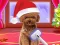 თამაში Christmas ASMR Makerover Salon ონლაინ