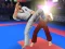 თამაში Karate Fighter ონლაინ