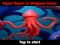 თამაში Squid Game In Dalgona Panic ონლაინ