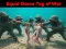 თამაში Squid Game Tug Of War ონლაინ