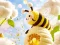 თამაში Find The Differences: Little Bee's Adventure ონლაინ