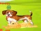 თამაში Bunny Key Quest ონლაინ