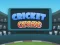 თამაში Cricket Craze ონლაინ