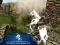 თამაში Ertugrul Gazi Horse Sim ონლაინ
