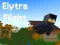 თამაში Elytra Flight ონლაინ