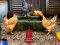 თამაში Poultry Farm Easter Escape ონლაინ