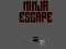 თამაში Ninja escape ონლაინ