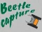 თამაში Beetle Capture ონლაინ