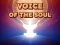 თამაში Voice Of The Soul ონლაინ
