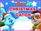თამაში Nick Jr. Christmas Catch ონლაინ
