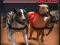 თამაში Greyhound Racing ონლაინ