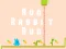 თამაში Run Rabbit Run ონლაინ