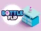 თამაში Bottle Flip ონლაინ