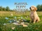 თამაში Playful Puppy Outdoor Puzzle ონლაინ
