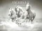 თამაში Horses Puzzle ონლაინ