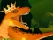 თამაში The Dino King ონლაინ